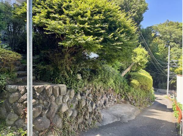 現地は山道を登ります。車の通行には車両制限があります。
