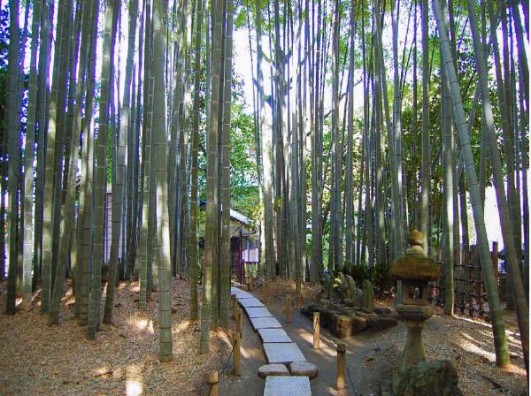 竹林のお寺「報国寺」まで徒歩１２分(約900ｍ)