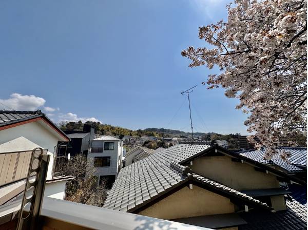 バルコニーからの眺望です。