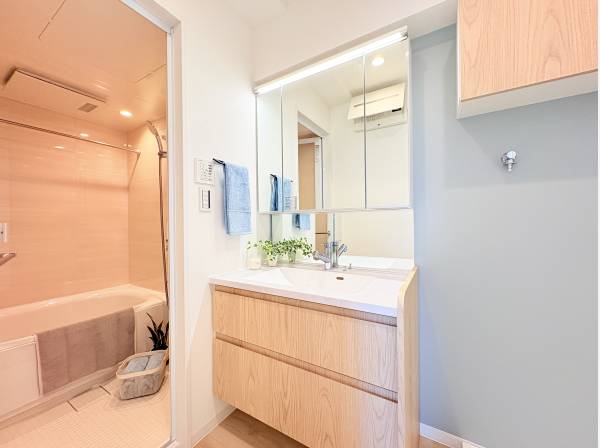 サニタリースペース