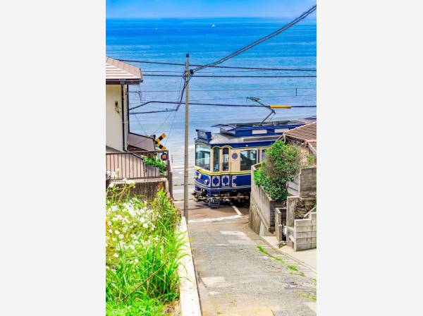 家の前でこんな写真が撮れるロケーション。びっくりします^^;