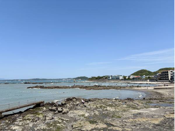 目の前の真名瀬海岸では磯遊びも愉しめます(約20ｍ)