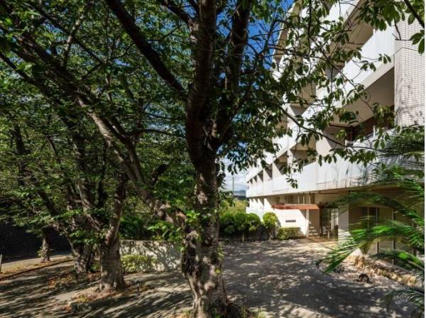 マンション外観は緑に囲まれた住環境