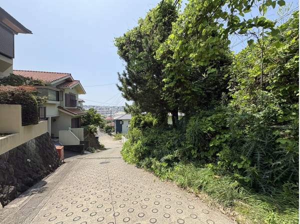 多目的活用用地です。
