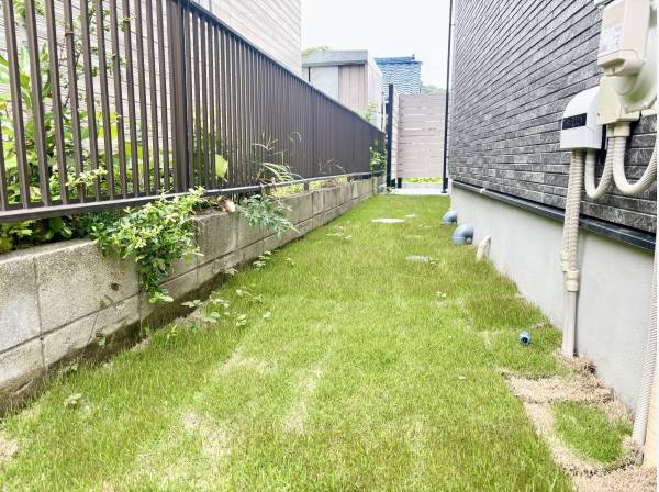 緑が生い茂っています