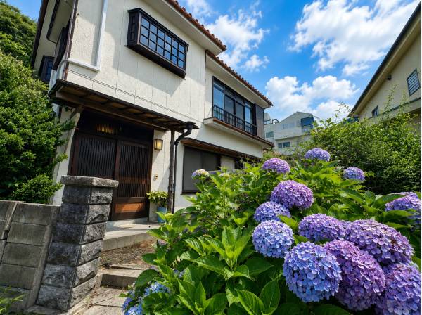 紫陽花が彩るアプローチ。季節の花々が迎える趣ある家屋。