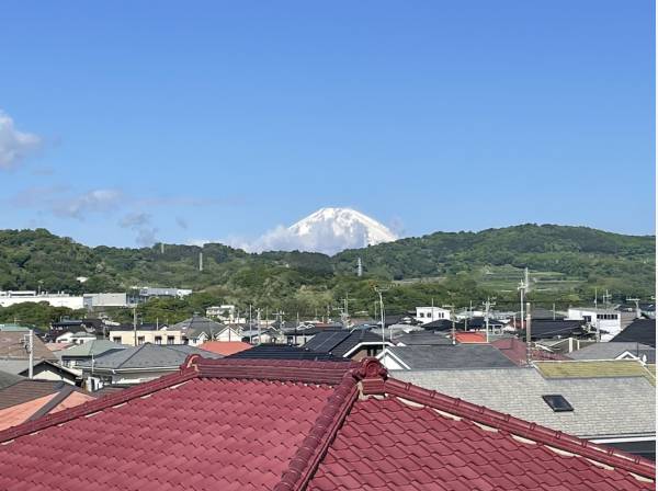 雄大な富士山も望むことができました

