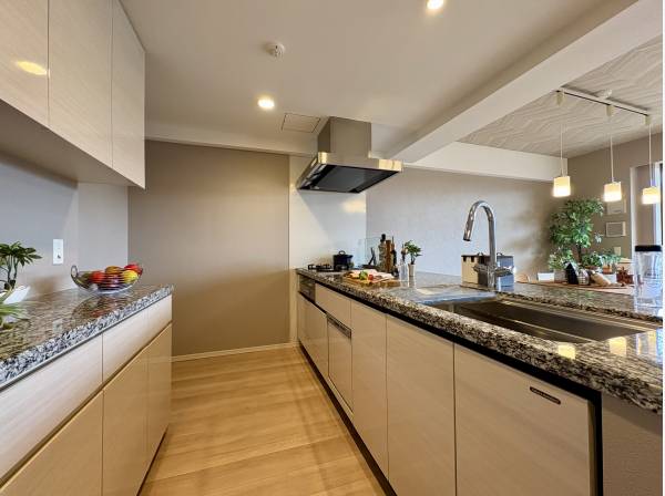 カップボード付きで食洗機と浄水器付き