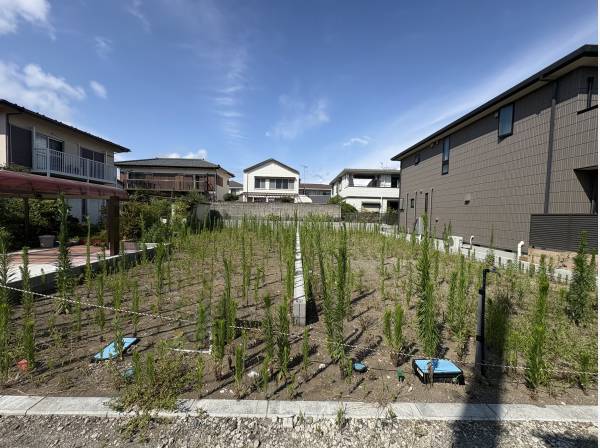 閑静な住宅街
