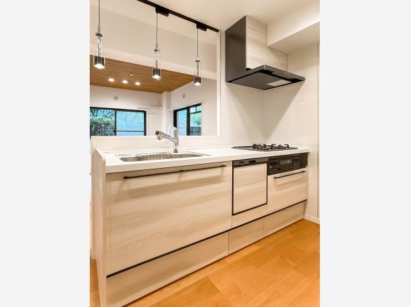 リビングを見渡すカウンターキッチンには食洗機付き