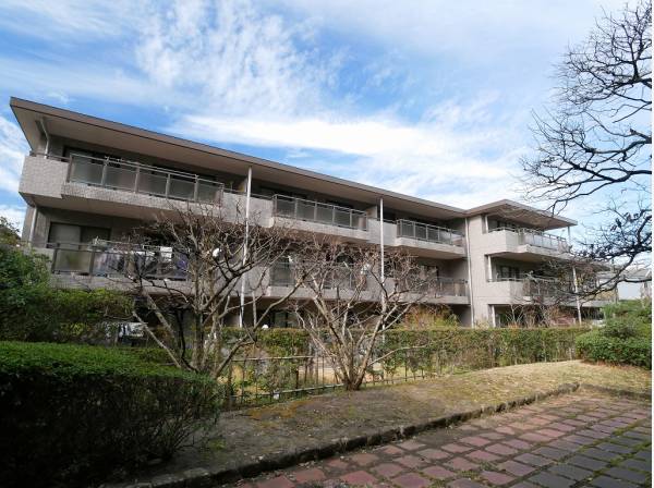 季節の移ろいを植物たちが教えてくれます