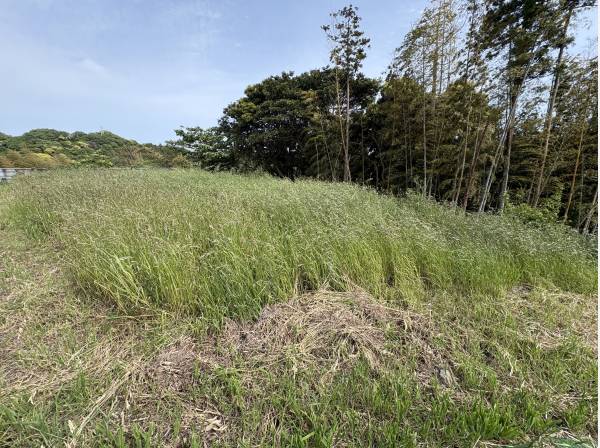 自分専用のキャンプ場やドッグラン、本格的な家庭菜園もいいですね！