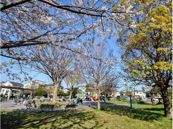 柏木公園まで徒歩9分（約650m）