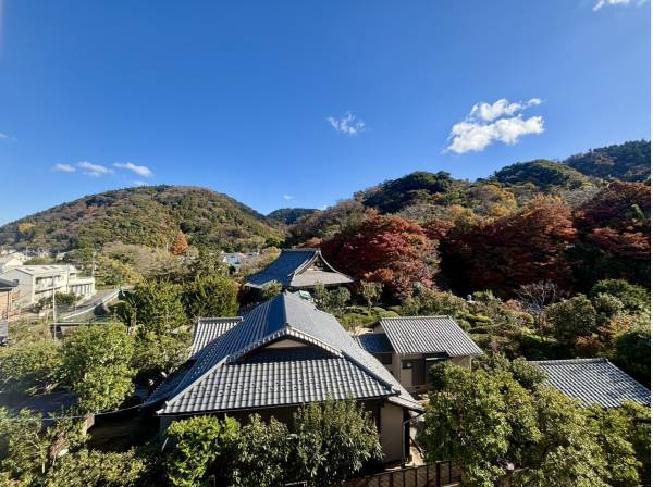 玄関側からの景色も気持ちがいいですね