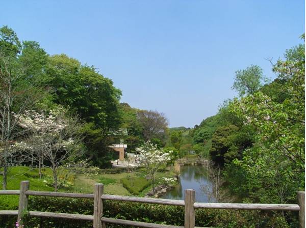 鎌倉中央公園まで約350ｍ