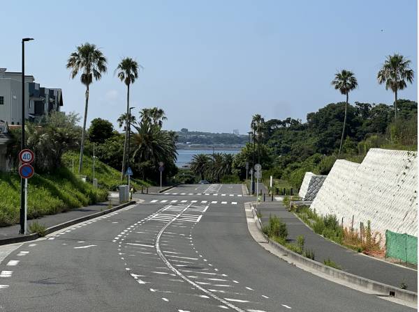 カリフォルニアのような眺望/お問合せお待ちしております！