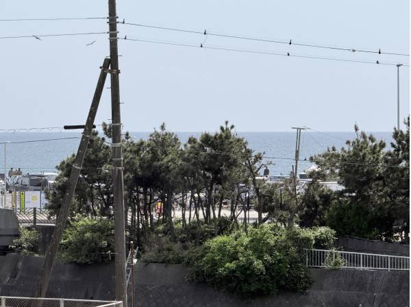 海を望むお部屋です