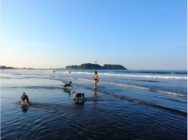 海まで徒歩9分（約700m）