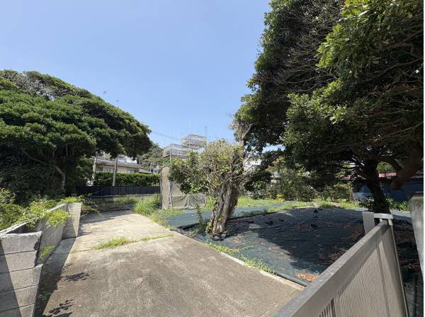 緑豊かな敷地内