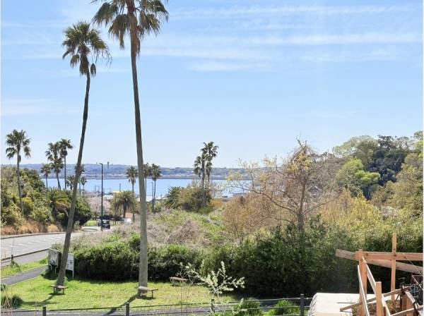 青い海と緑のコントラストに癒されます