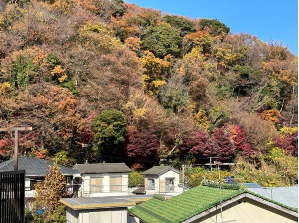 秋には紅葉が素敵な『もみじ山』にございます。