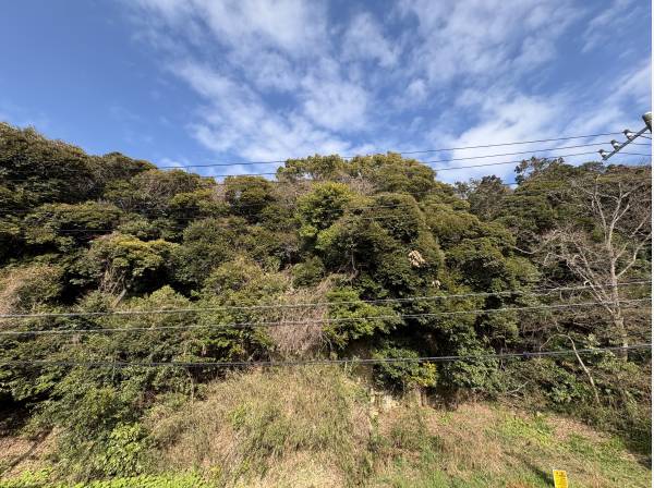 目の前が林の為、静かな場所です。