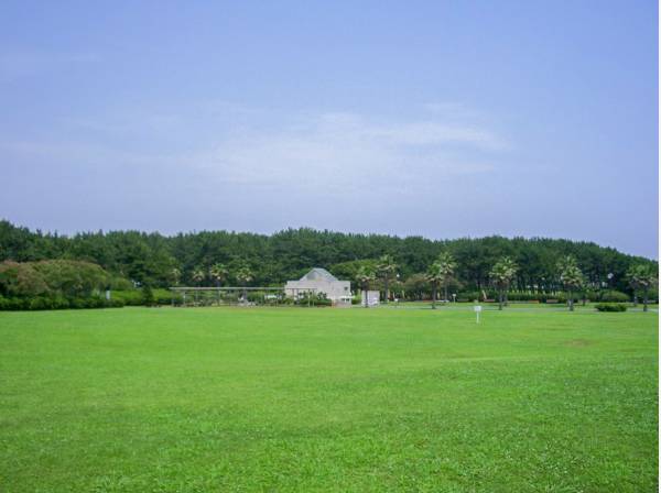 辻堂海浜公園も近いので子供と遊ぶのにもいいですね