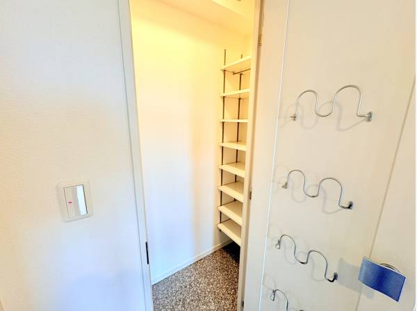 靴や小物をたっぷり収納できるシューズインクローゼットを備えた玄関です