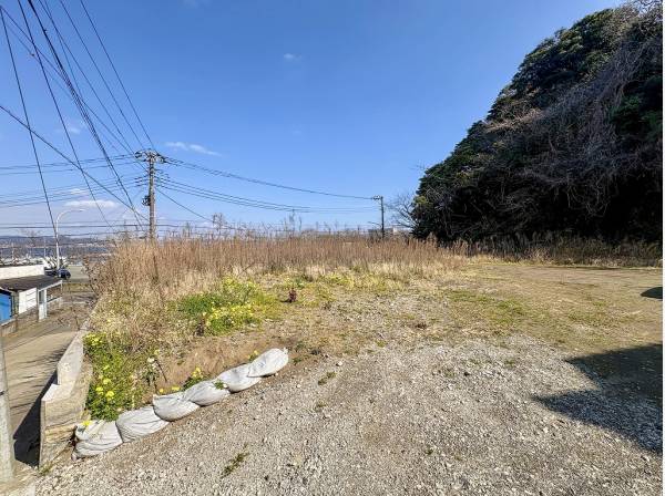 陽射しをたっぷりと浴びた現地