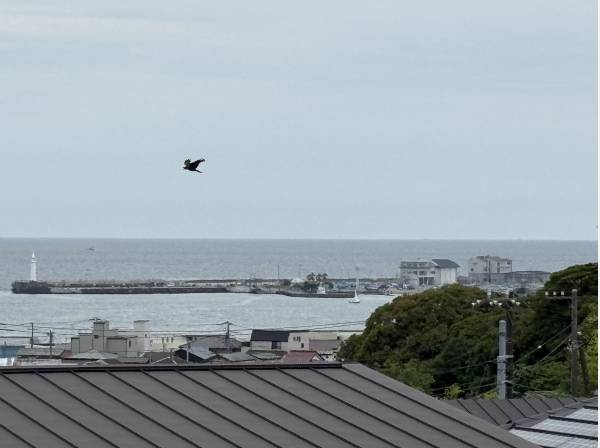 最上階からのオーシャンビュー！湘南の穏やかな海と空に癒される眺望