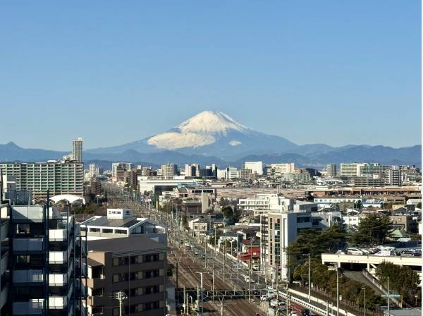富士山はこのサイズ感でご覧いただけます
