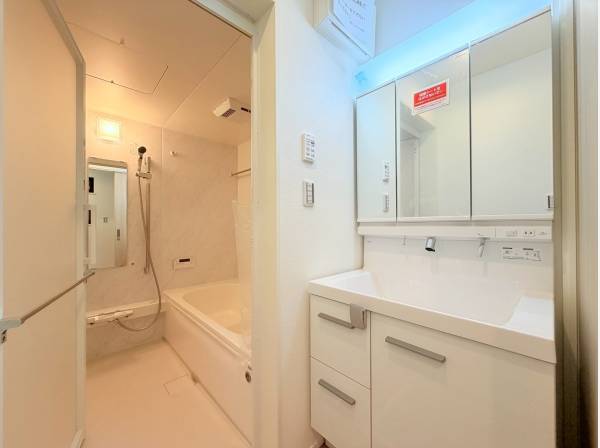 洗練されたパウダールームとバスルーム