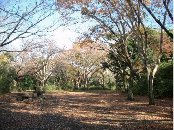 片瀬山公園まで徒歩4分（約300m）