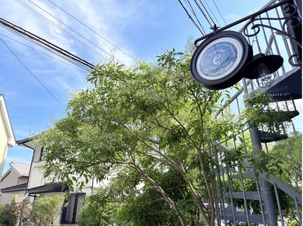 緑と青空が気持ちの良い環境