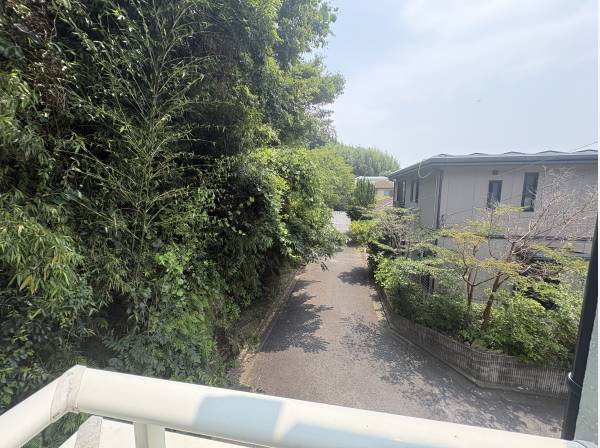 家の前の道路も自然がいっぱいです。
