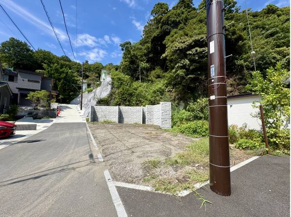 南からの敷地全景
