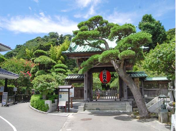 長谷寺の山門。現地はここから徒歩5分、約400m。好立地だと思いますね