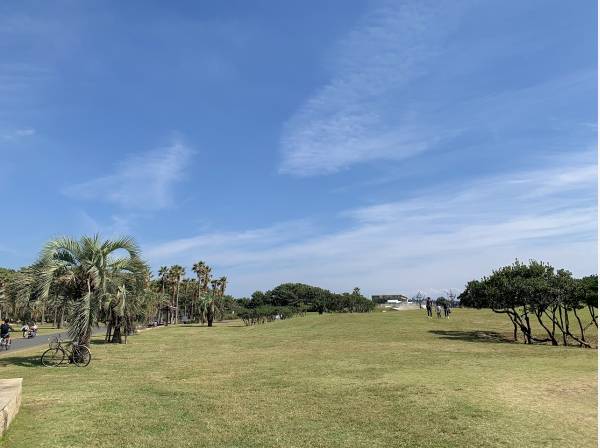 海の手前には「辻堂海浜公園」も(約1.7ｋｍ)