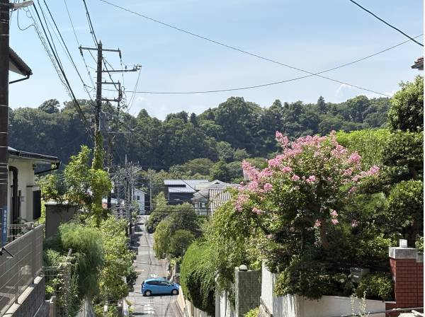 豊かな緑を望む環境。朝の目覚めも心地良い景色が広がります