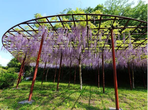 新林公園まで徒歩14分 (約1100ｍ)