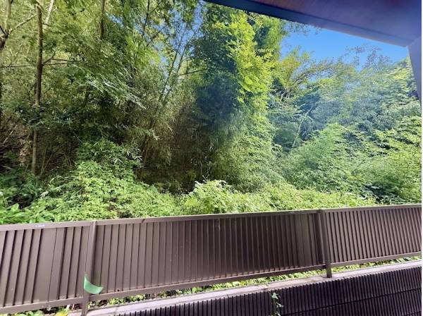 バルコニーから豊かな緑を望む景色 四季折々の自然を楽しめます