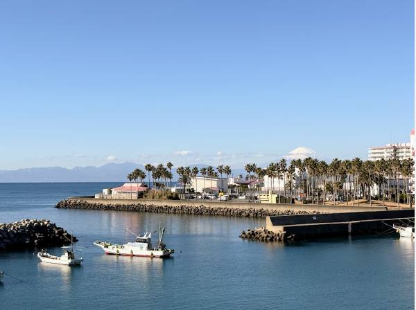 バルコニーからの眺望