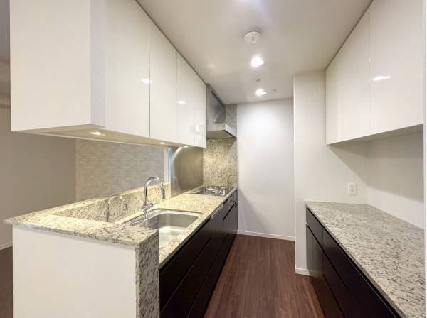 気品漂う大理石調の天板が洗練感を与えるキッチン