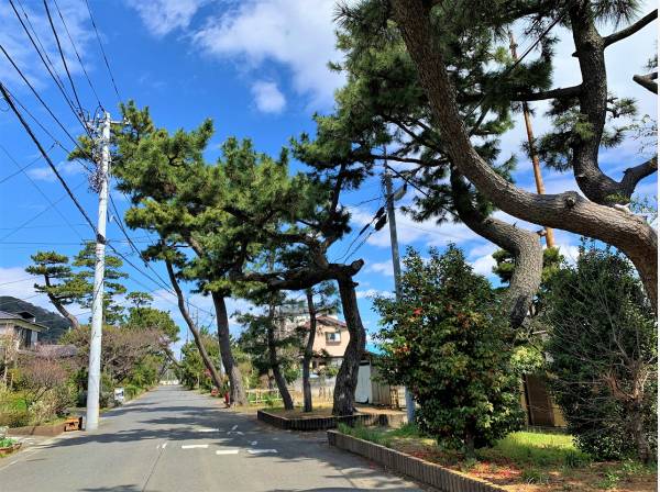 東海道もほど近く、風情ある町並みも残っています(約250ｍ)
