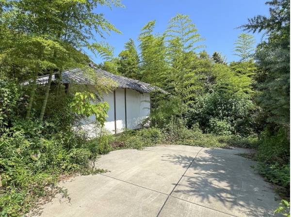 この竹林は建物からの借景に残したいですね♪