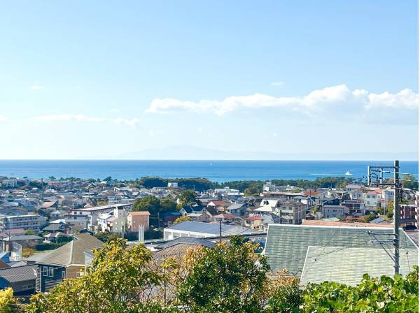 ルーフバルコニー相当の高さからの眺望