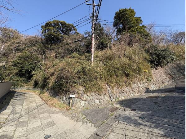 手つかずの自然が残っています