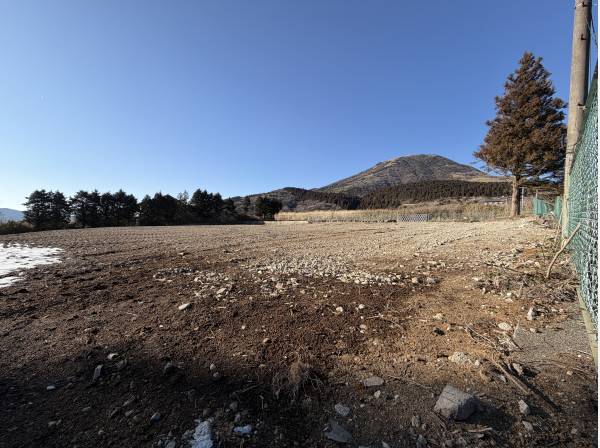 ゆったりした敷地です