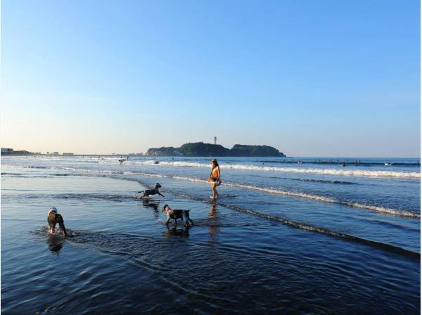 海まで徒歩11分。休日は潮風を感じながらリフレッシュ。