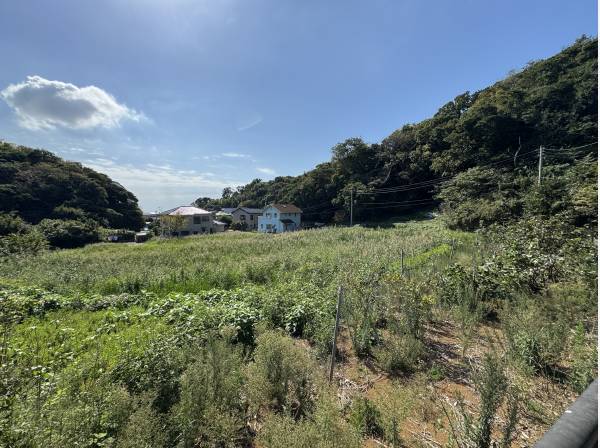北側から海方向へ。敷地の境が全く分かりません。